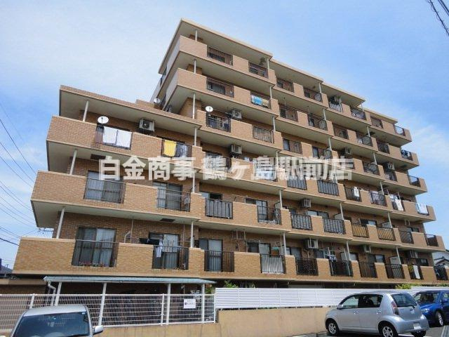 外観：311002244888