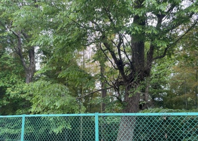 田園風景が味わえる土地に住みたい！海や山の見える自然豊かな土地に住みたい！などご要望に併せて当社営業がご提案させて頂きます。当社が抱えている数ある物件の中からお客様が納得する1件を一緒に探しましょう！