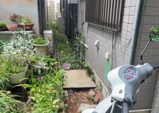 庭のある家に住むことのメリットとして、子どもたちの遊び場を確保できること、ガーデニングや家庭菜園を楽しめること、明るさを確保できることがあります。また、配置を工夫することでプライバシーが確保できます。