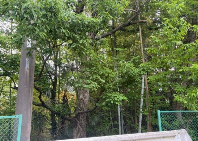 眺望を気にして物件を探す場合、前面に建物が建っていないか現地で確認しましょう！前面に建物があると景色はもちろん、日当たりや風通しにも影響が出てきます。住んだ時のことを想像しながら現地見学をしましょう。
