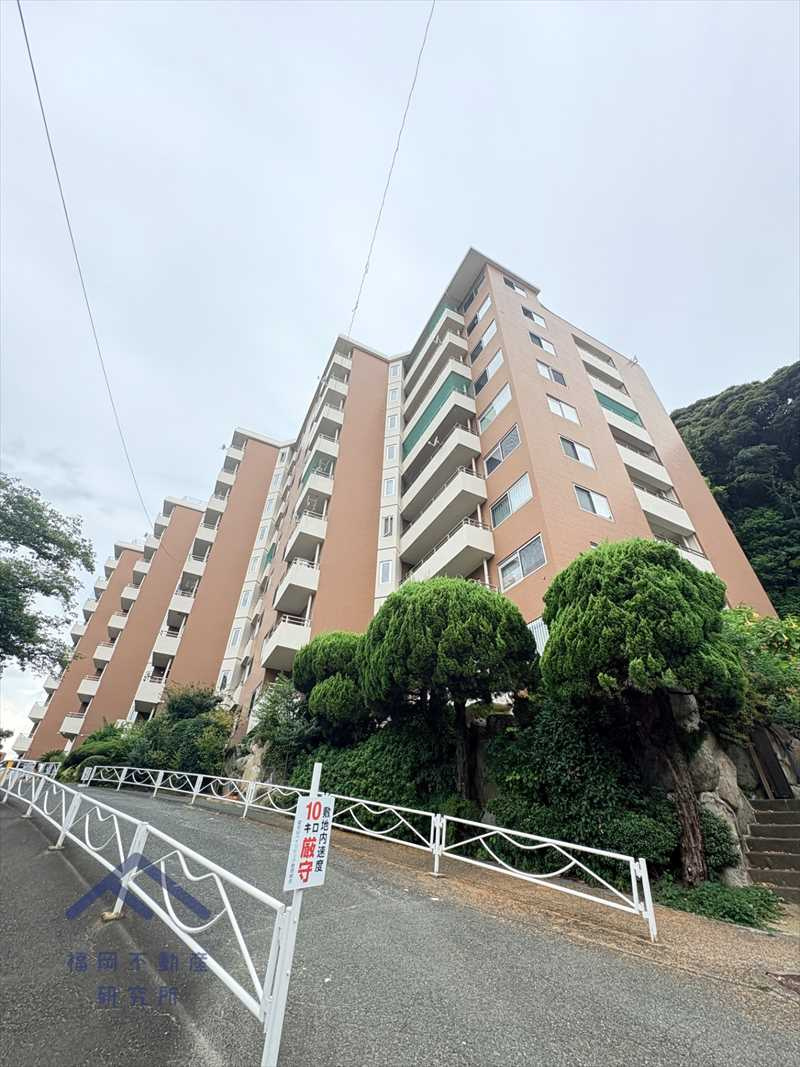 外観：340000306871