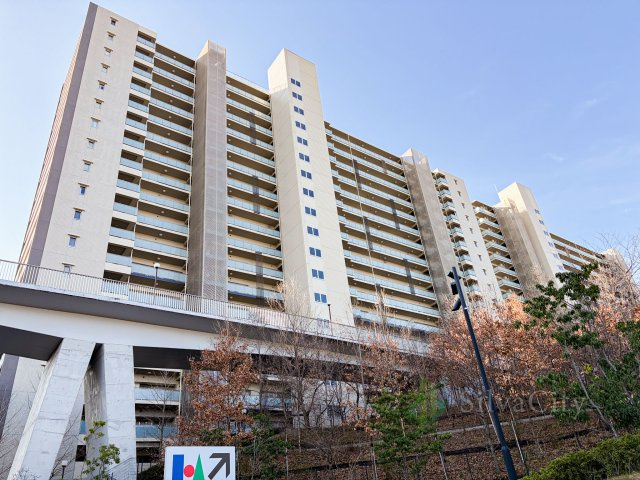 外観：313004671669