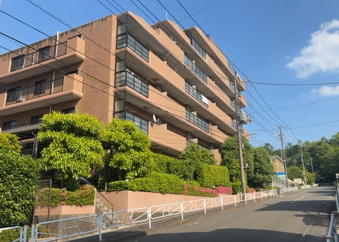 外観：313004737809