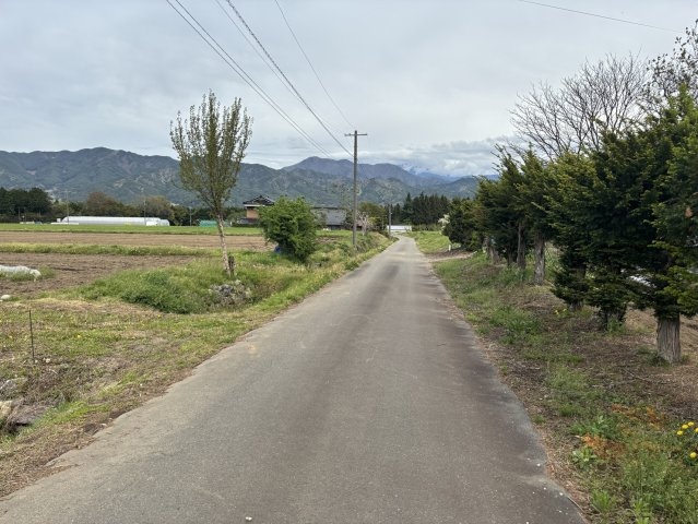 南側前面道路