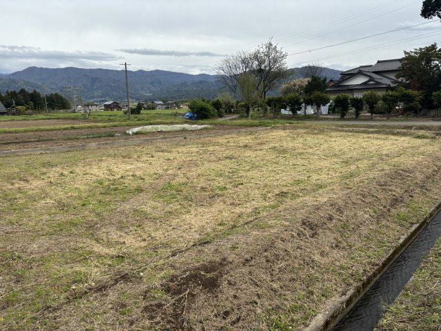 北西側より撮影