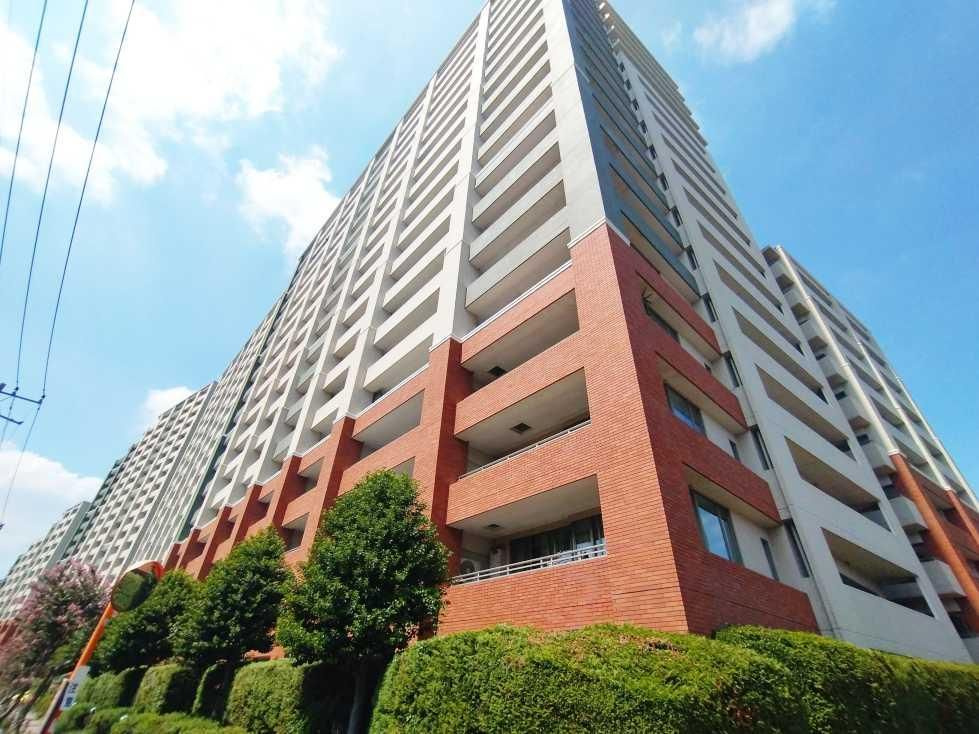 外観：313004672533