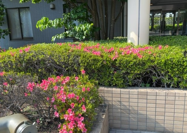物件によっては、入居者が個人的に使用できる専用庭がついているものもあります。また、住宅の中にある土間の部分を庭と呼ぶこともあります。庭の用途は住む人によって変わり、それによってデザインもさまざまです。