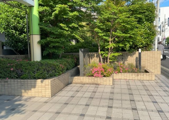 中庭（パティオ）とは、一つの建築物の内部に設けられた、壁などで囲われている庭のことを指します。コの字型、ロの字型が主流ですが、L字型の中庭もあります。最近では、インテリア性の高さからも人気があります。
