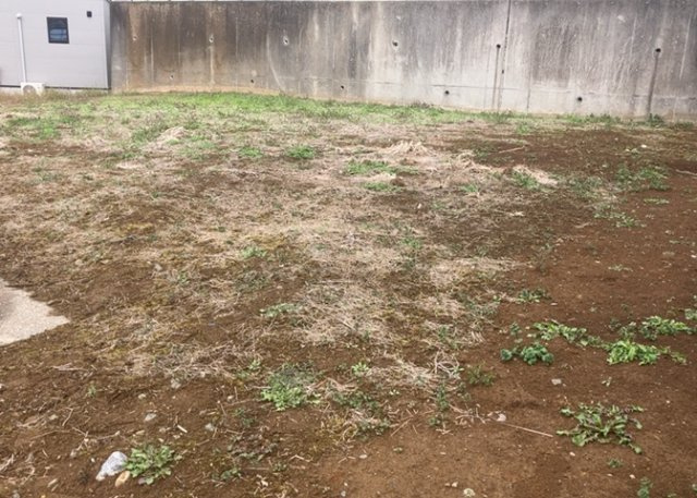 土地を買う際、住む地域の自治体や福祉の補助制度にも注目してみましょう。子供や老人の医療補助やゴミ出しのルールなど、自治体によってルールに大きな違いがあるため、暮らしやすい土地で判断するとよいでしょう。