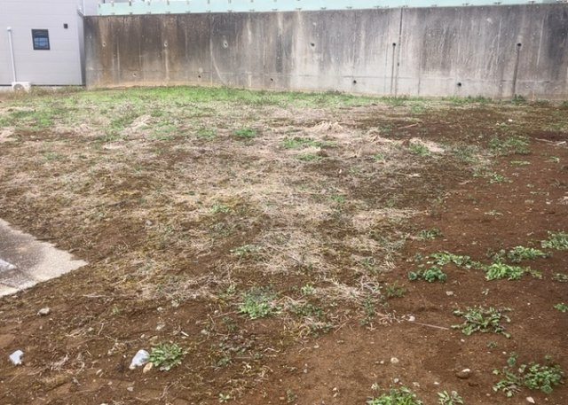 外観：313004652887