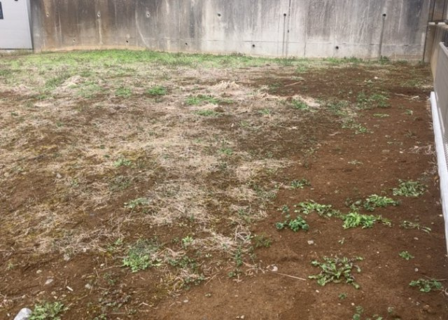 現地に行くなら、物件の周囲の地形がどうなっているかを見ることも大切です。周辺より低くなっている土地では、大雨などで水が集まりやすいため、地盤が弱くなっているということも考えられるため、注意が必要です。