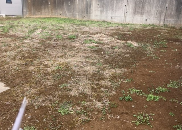 家を建てる前提で土地を探している場合、地盤の丈夫さは譲れない条件の一つです。地盤が脆弱だと追加工事が必要となります。また、過去に地盤沈下や液状化現象を起こした土地は、できるだけ避けた方がいいでしょう。