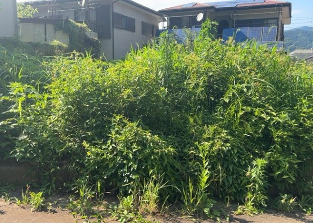 物件の詳細については、現地を見てわかること以外に、役所や法務局などで調べないとわからないことがあります。そのため、現地に行く場合は、もしこの物件を買ったらどのような生活ができるかをイメージしましょう。