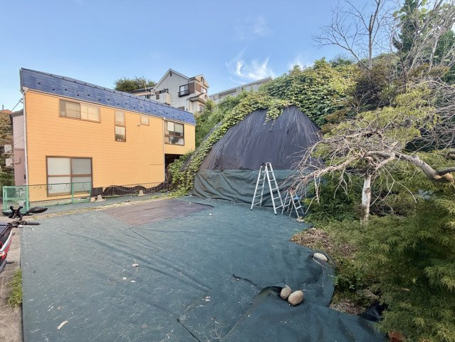 庭