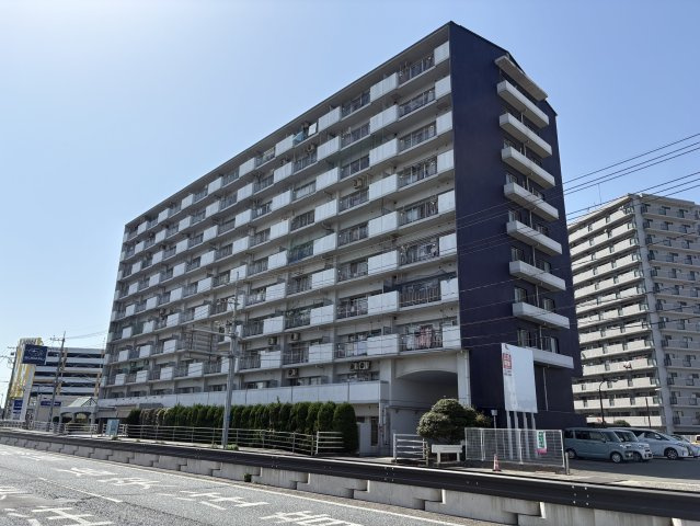 外観：334000195479