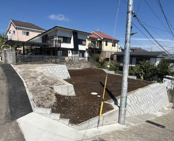 外観：313004417172