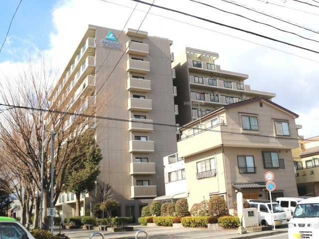 街路樹や植栽に彩られた落ち着きのある住環境。周囲には住宅が並び、マンションならではの存在感と、穏やかな街並みの両方を感じられる立地です。