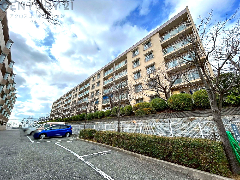 外観：328000590532