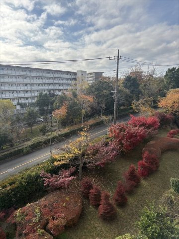 自然を感じる景色が魅力的です