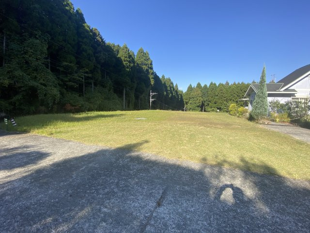 外観：343000087162