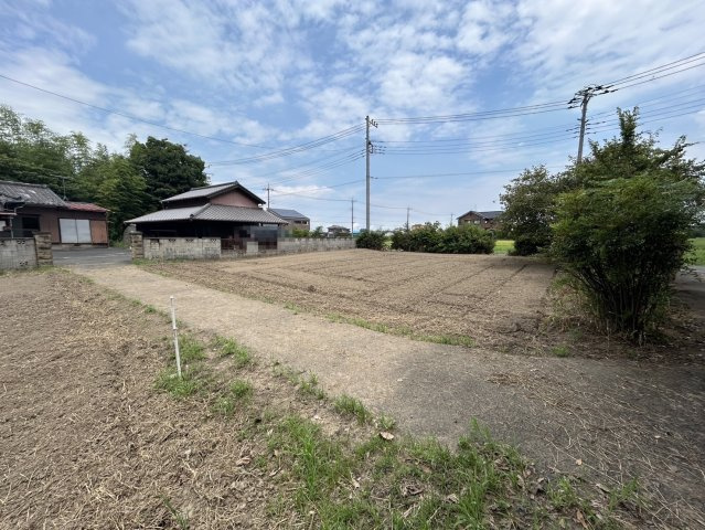 外観：311002299738