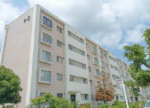 外観：313004566723