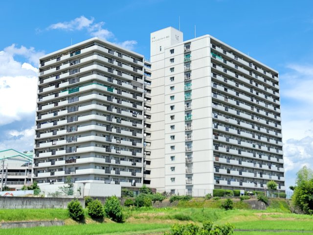 外観：330000073271