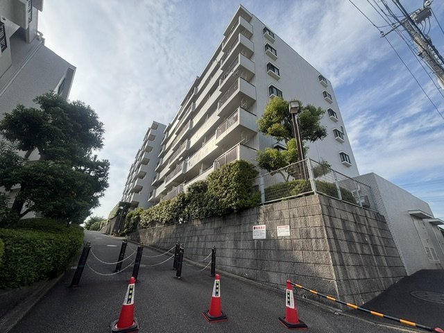 現地（6月19日撮影）