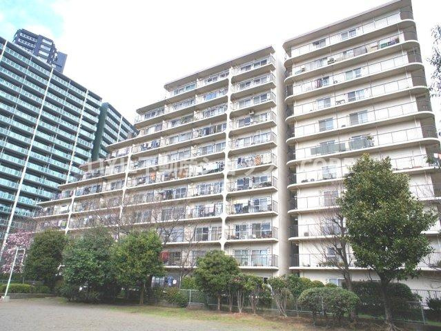小学校・中学校が近く、子育て環境良好。小さなお子様がいる方には、安心な立地になっております。