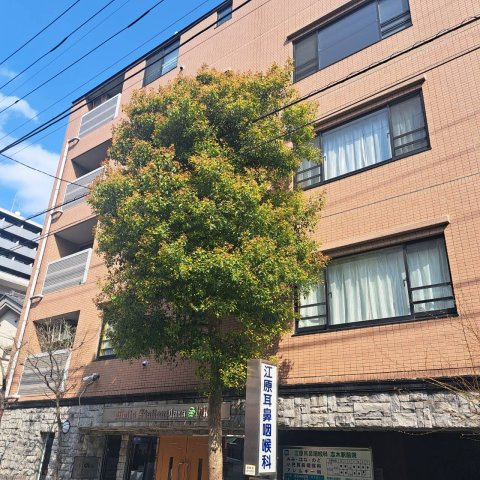 外観：311002360674