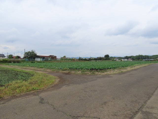 展望
