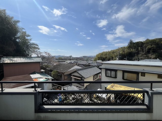 展望