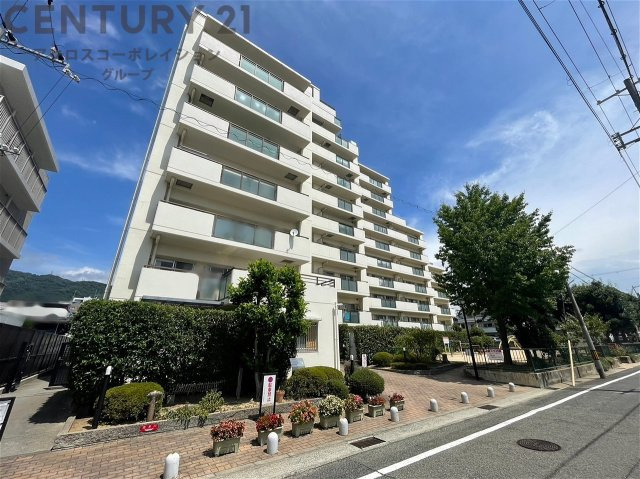 RC・SRC造11階建て