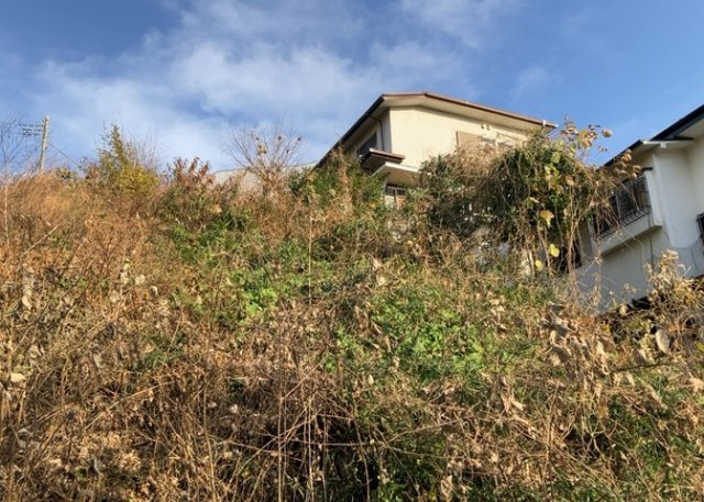 現地に行くなら、物件の周囲の地形がどうなっているかを見ることも大切です。周辺より低くなっている土地では、大雨などで水が集まりやすいため、地盤が弱くなっているということも考えられるため、注意が必要です。