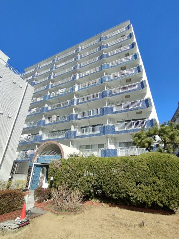 外観：313004621996