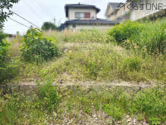 外観：328000549124