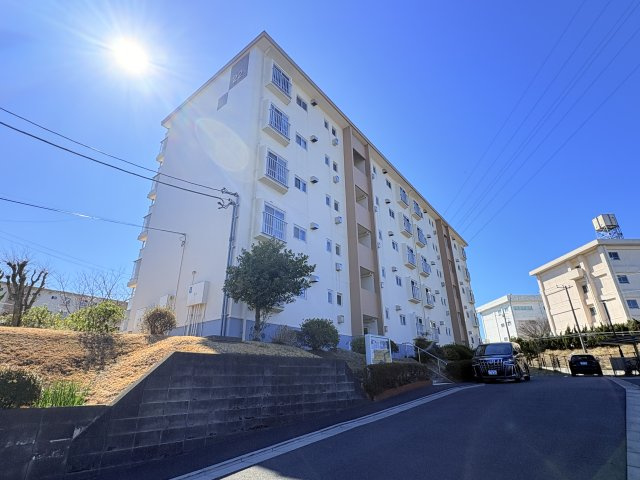 外観：314002671917