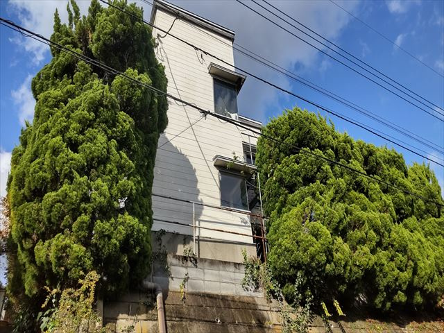 外観：313003405283