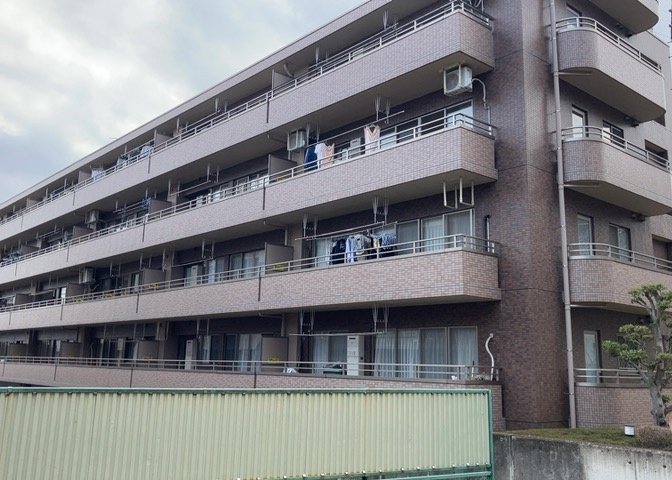 外観：313004703535