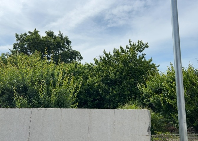 眺望を気にして物件を探す場合、前面に建物が建っていないか現地で確認しましょう！前面に建物があると景色はもちろん、日当たりや風通しにも影響が出てきます。住んだ時のことを想像しながら現地見学をしましょう。