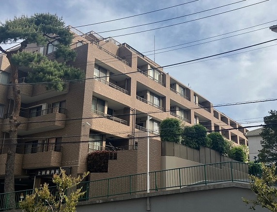 外観：313004896274