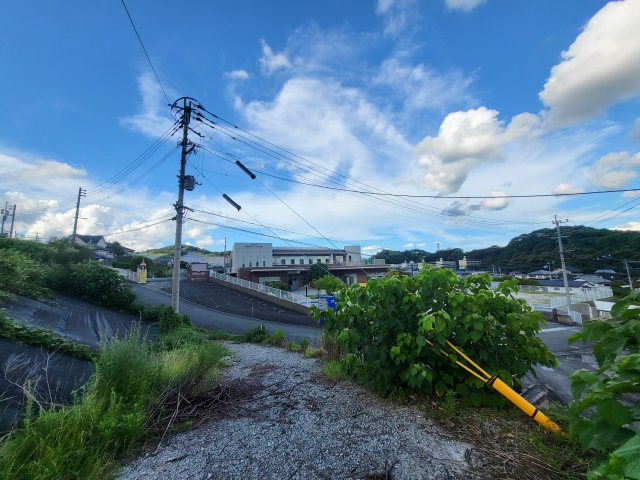 外観：340000279177