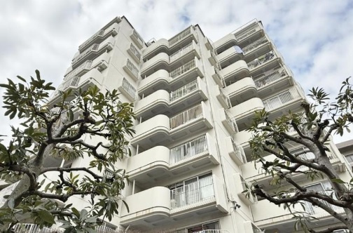 外観：313004691275