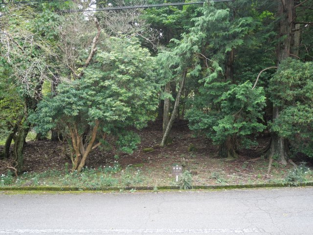 外観：322000577866