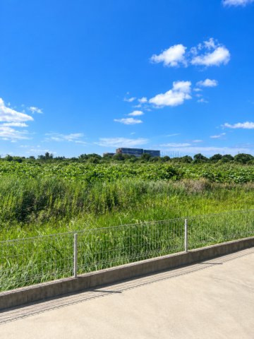 南側に建物がなく日当たり・眺望良好です。