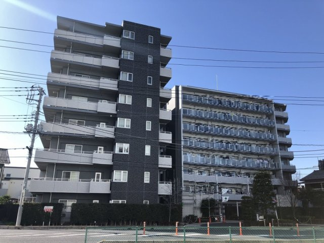 外観：311002389799