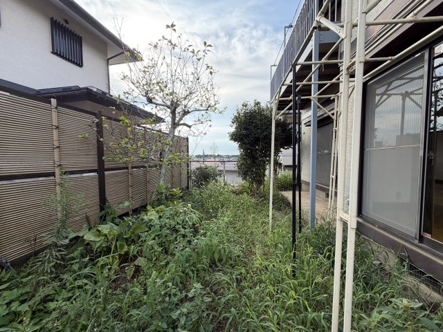 庭