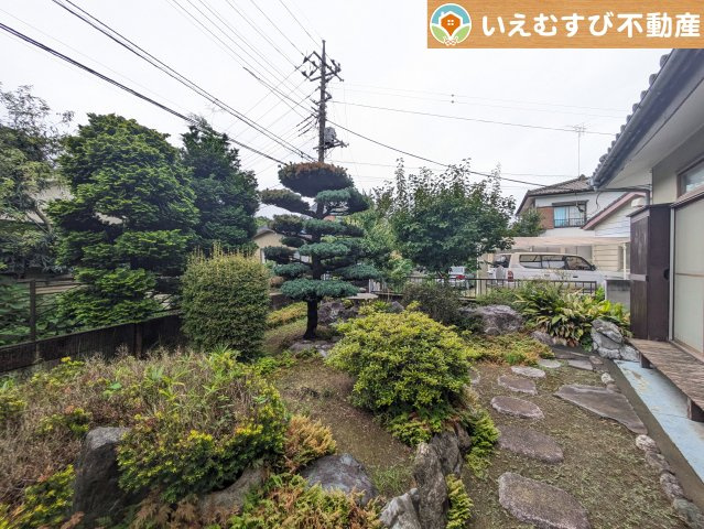 庭