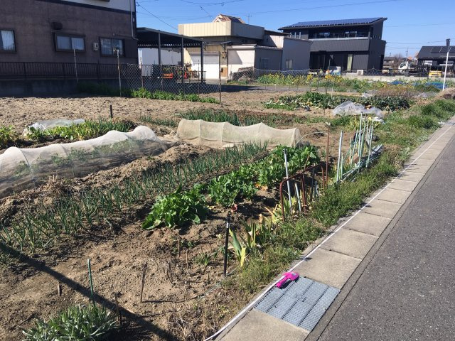 外観：323000465595