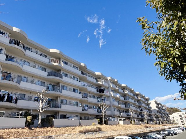 外観：314002694573